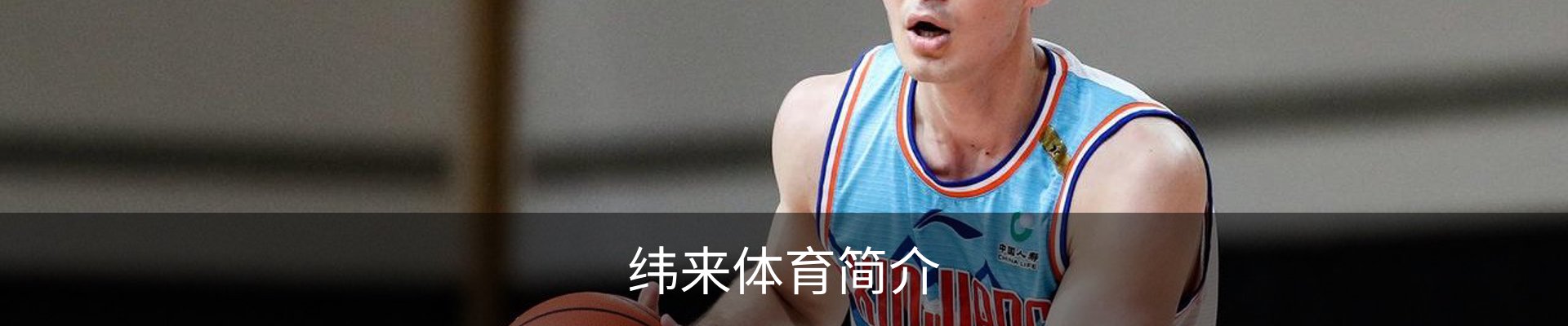 纬来体育简介